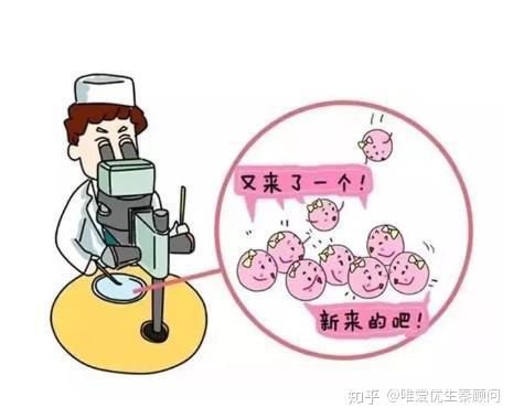 左旋肉碱黑咖啡减肥